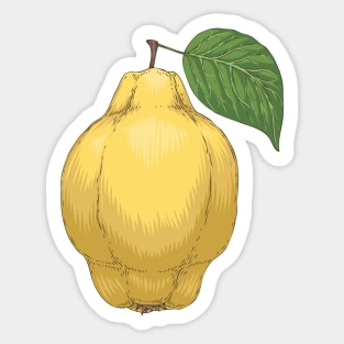 Quince Sticker